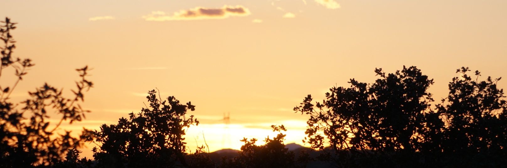 Emperador y dios banner