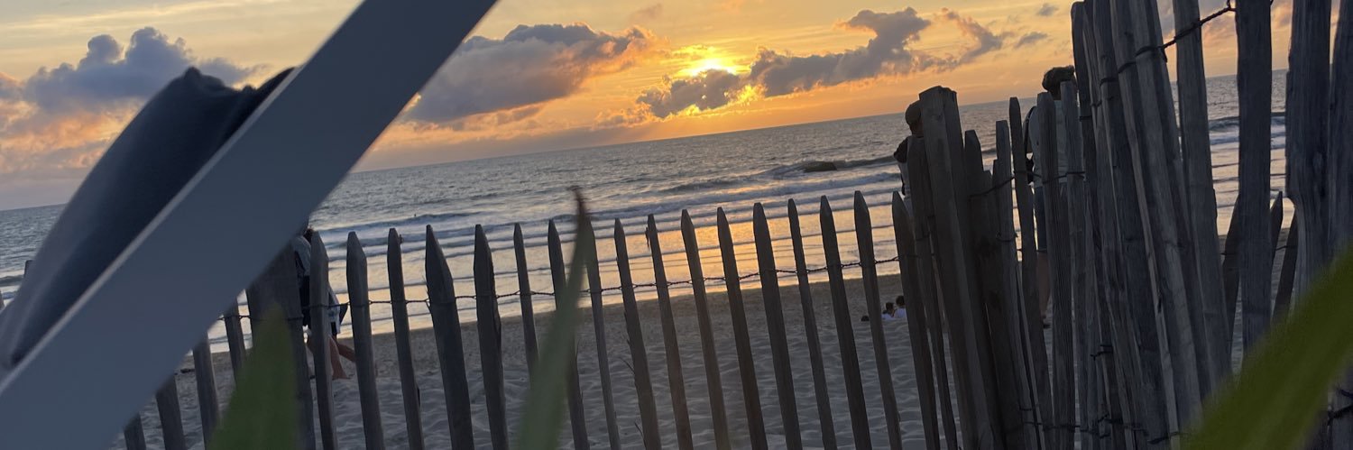 SERRE OLIVIER banner