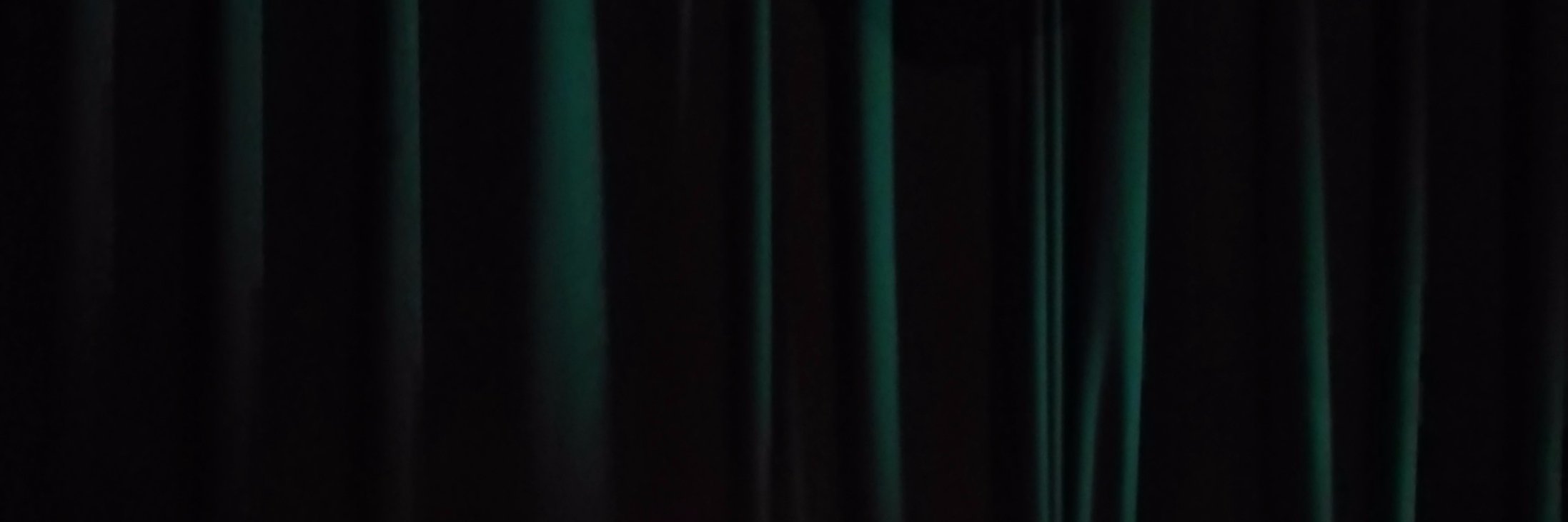 Borges 1975 banner