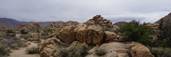 eolson Profile Banner
