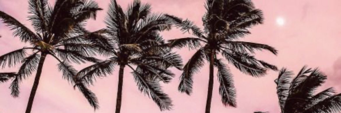 Brittany 💕 SoCal banner