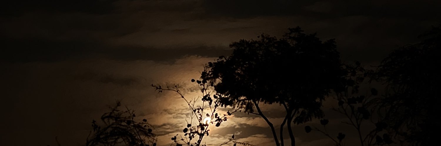 Maxzz_Bhardwaj's profile banner image