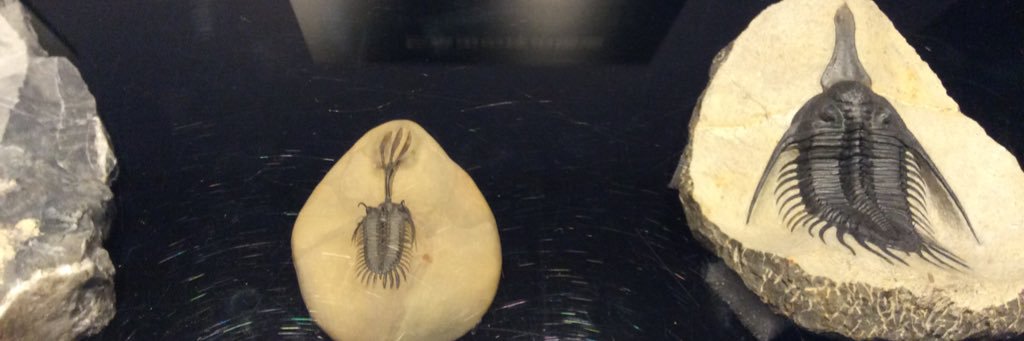 _sky_TA's profile banner image