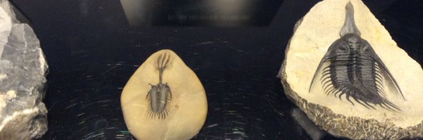 _sky_TA Profile Banner