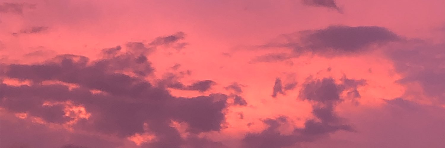 Pame_VLuna's profile banner image