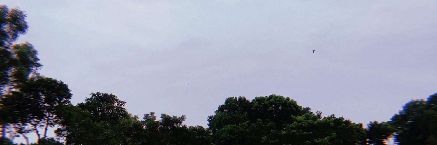 bellaprillianii's profile banner image
