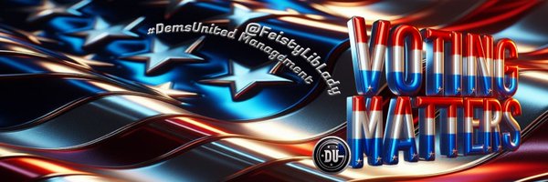 FeistyLibLady Profile Banner