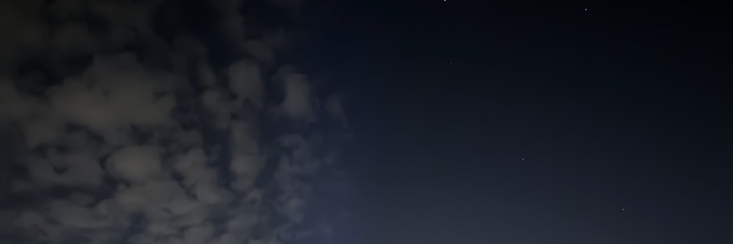 someidiot banner