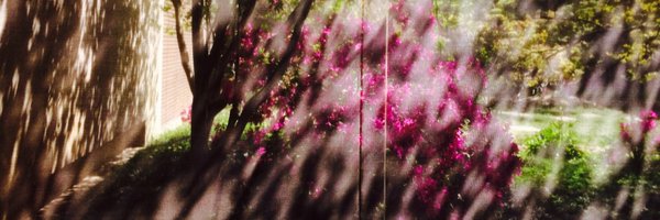 EsenKayaArts Profile Banner