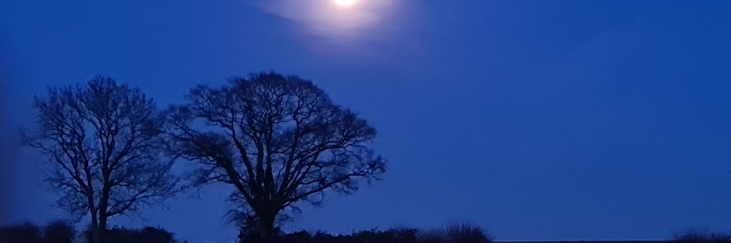 JoshOrionWalker's profile banner image