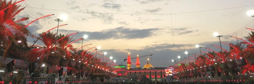 رضا باقری اصل's banner