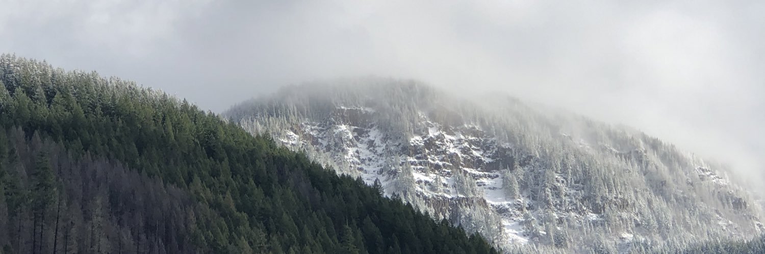 JuliaaOlsonn's profile banner image