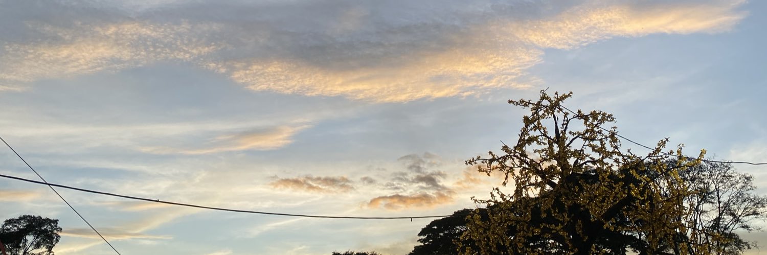 Larissa banner