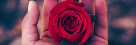 0alaa4's profile banner image