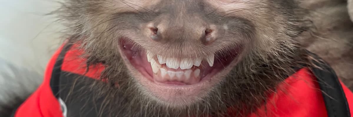 WolnerFilho's profile banner image