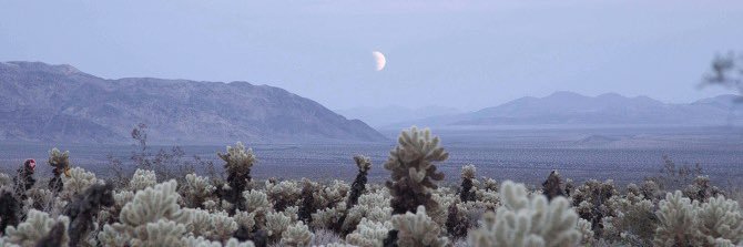 𝓡𝓪𝓽𝓲 ☾ banner