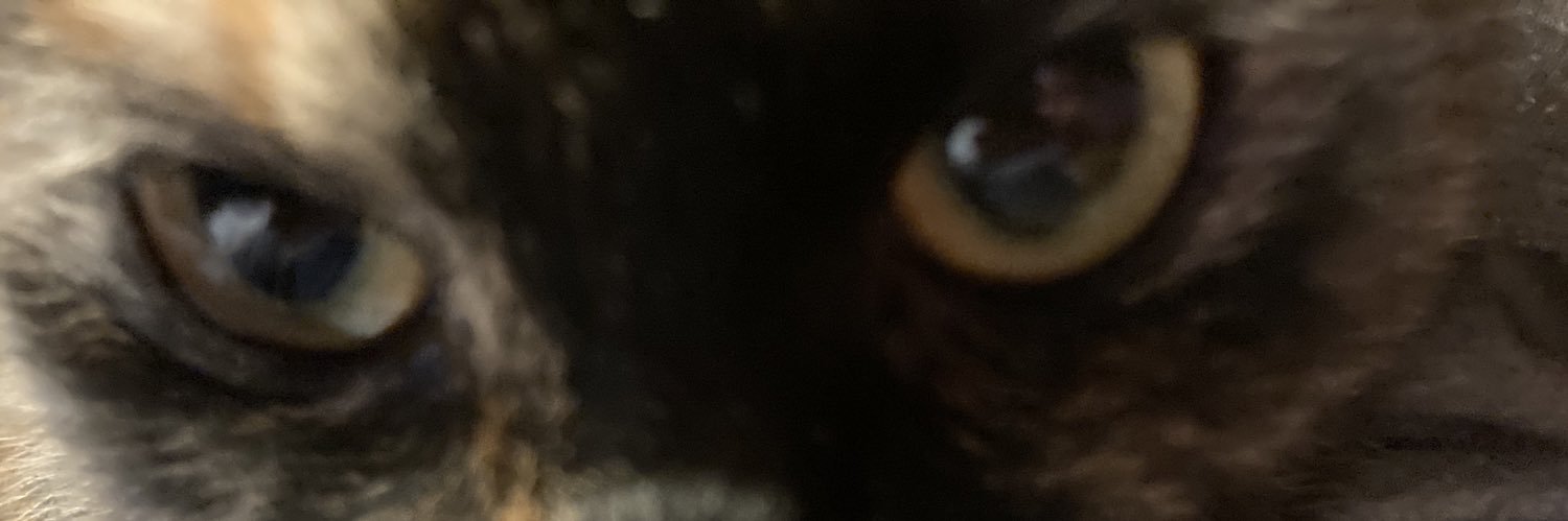 くまちゃん banner