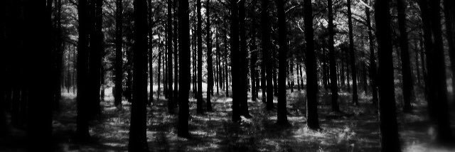 CreepypastaRPG's profile banner image