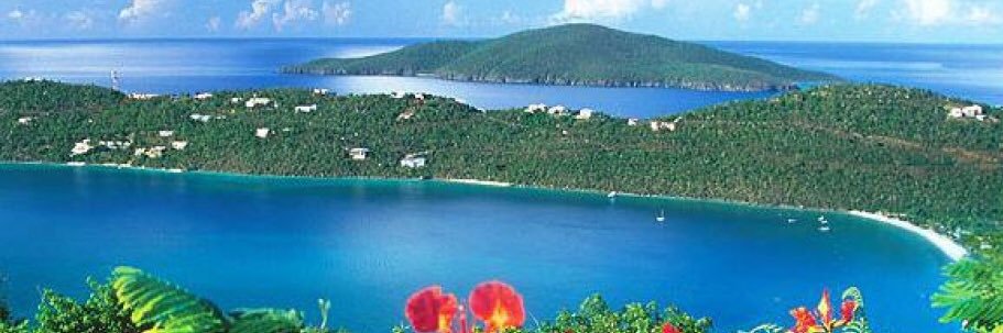 Stephanie Watts banner