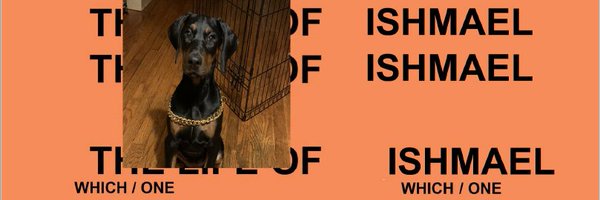DR_IR_ Profile Banner