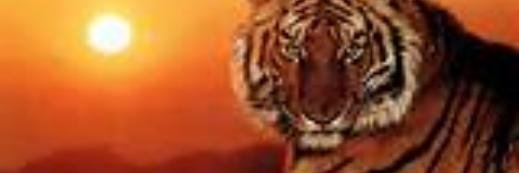 Iratxe_23's profile banner image