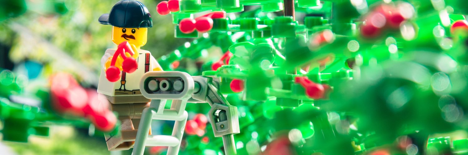 rennerbricks's profile banner image