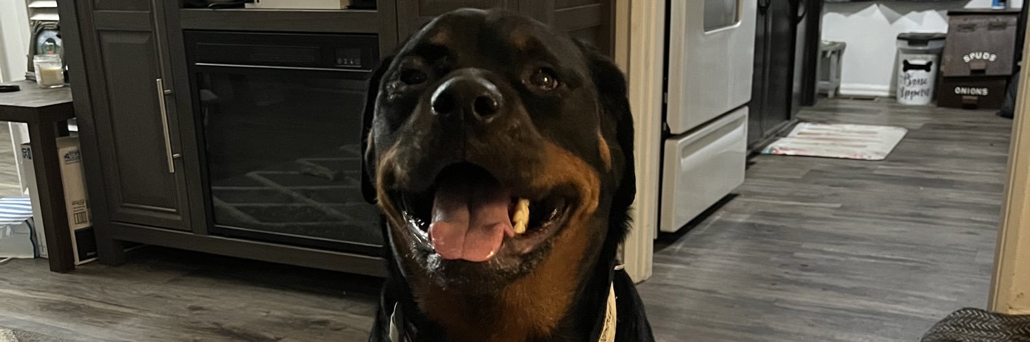 adventuresofkeg's profile banner image