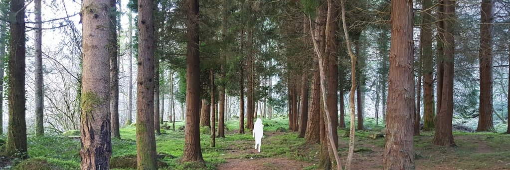 Luis Argüelles Luis banner