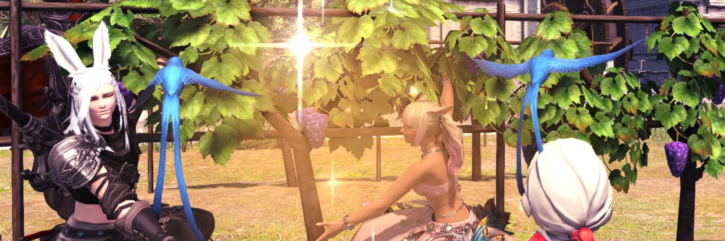 blooberriee's profile banner image