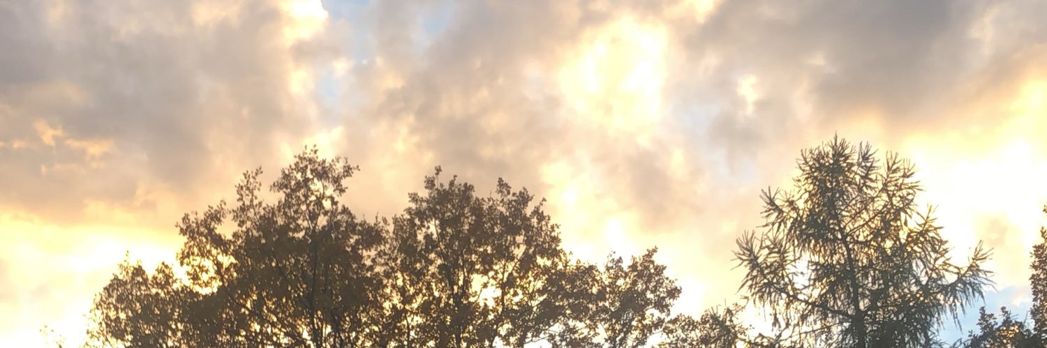GTGays's profile banner image