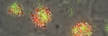 George O'Toole (he/him/his)'s banner