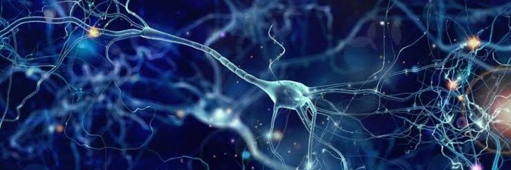 neurodrB's profile banner image