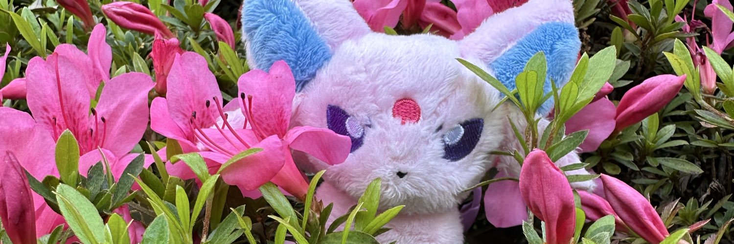 Macchiauto_'s profile banner image