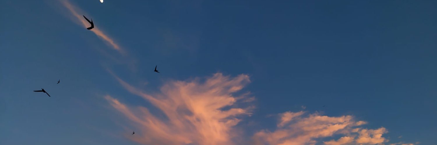 López ☾ banner