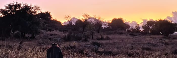 sarah_mm98's profile banner image