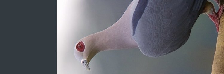 Abuhusam99's profile banner image