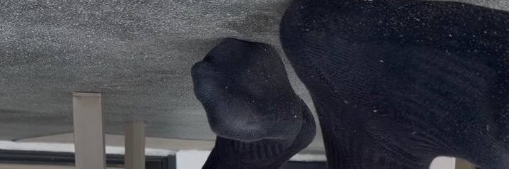 FagForALPHAFeet's profile banner image