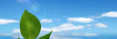 Abdelhak BENAZIZI banner