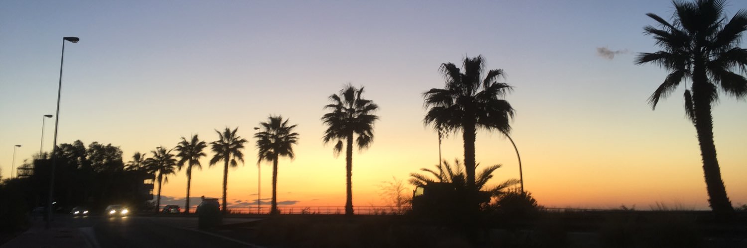 Kerry Radley 💙 banner