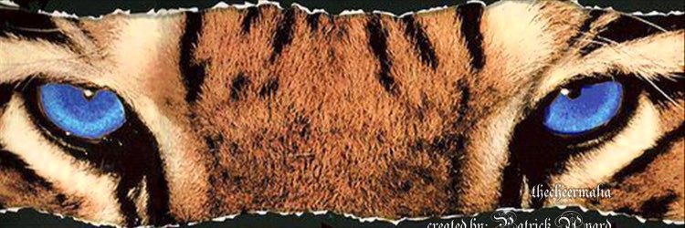 CA_AdonisCats's profile banner image