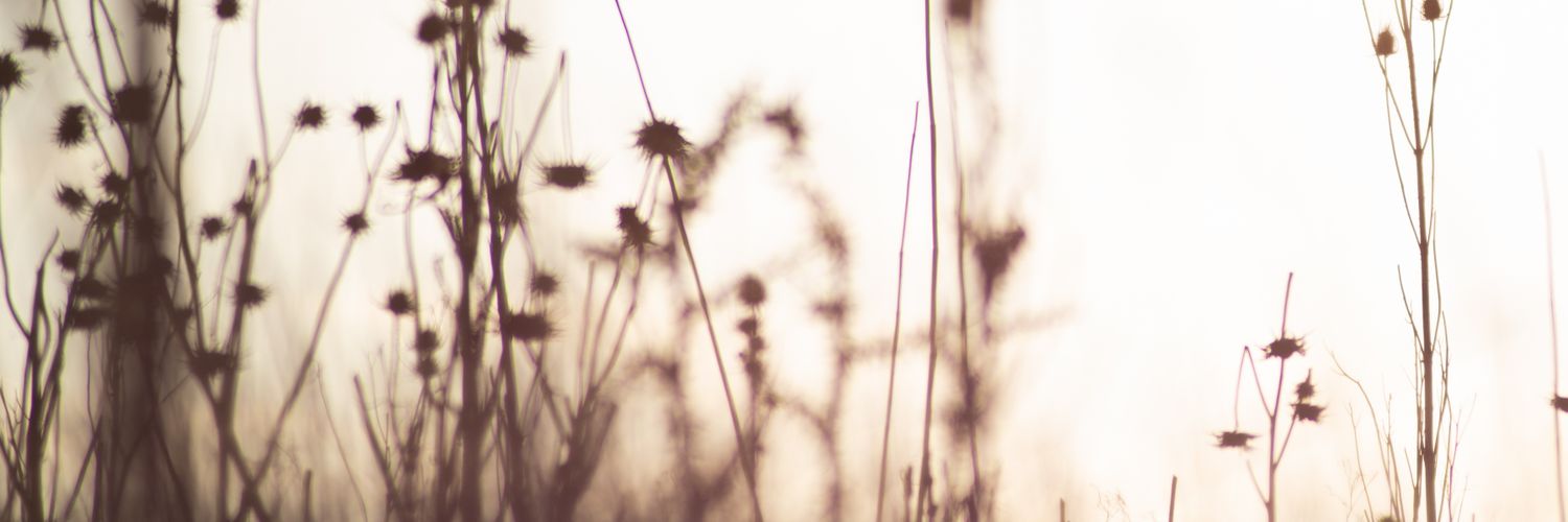 nassgool's profile banner image