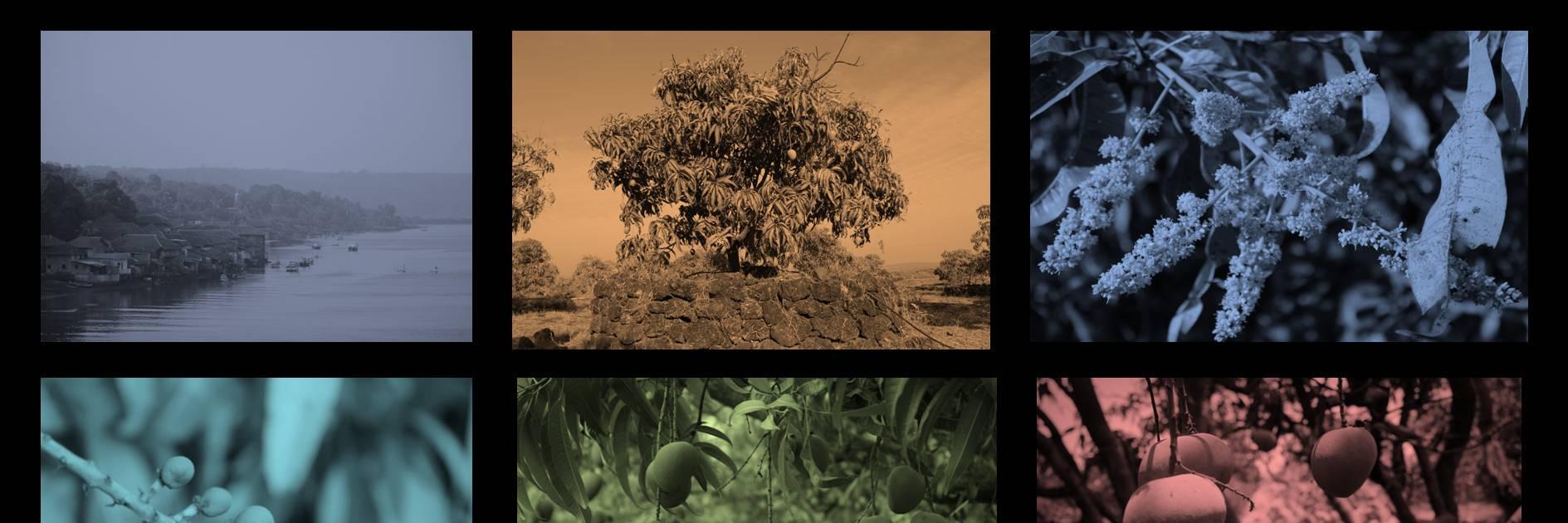 omkaranade's profile banner image