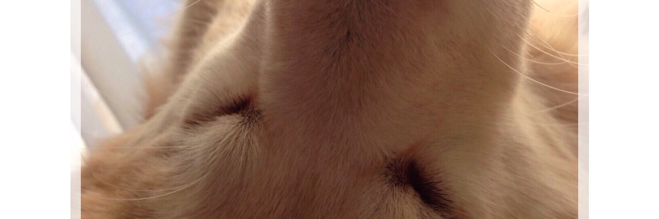 t_m9l's profile banner image