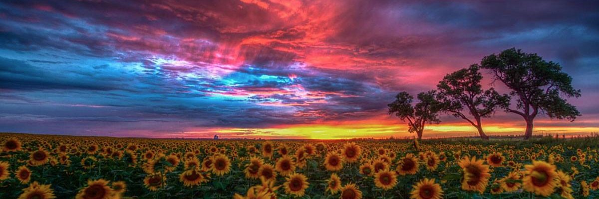 RuralHealthKS's profile banner image