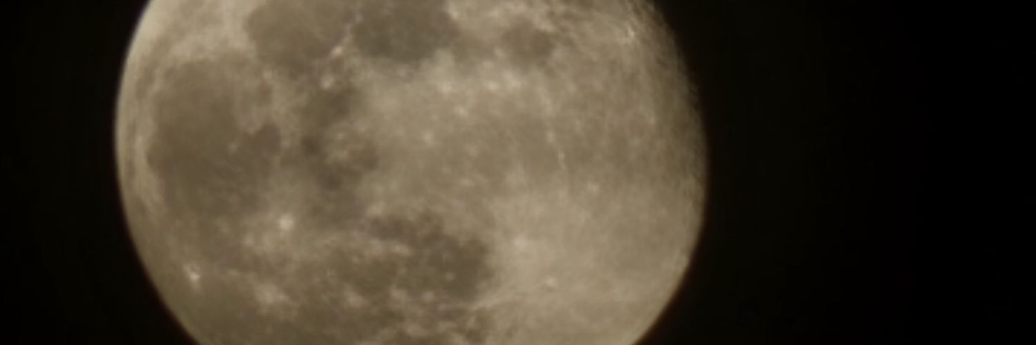 Liizzy01's profile banner image