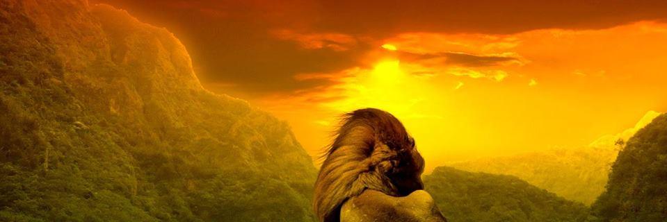 theonlystiz's profile banner image