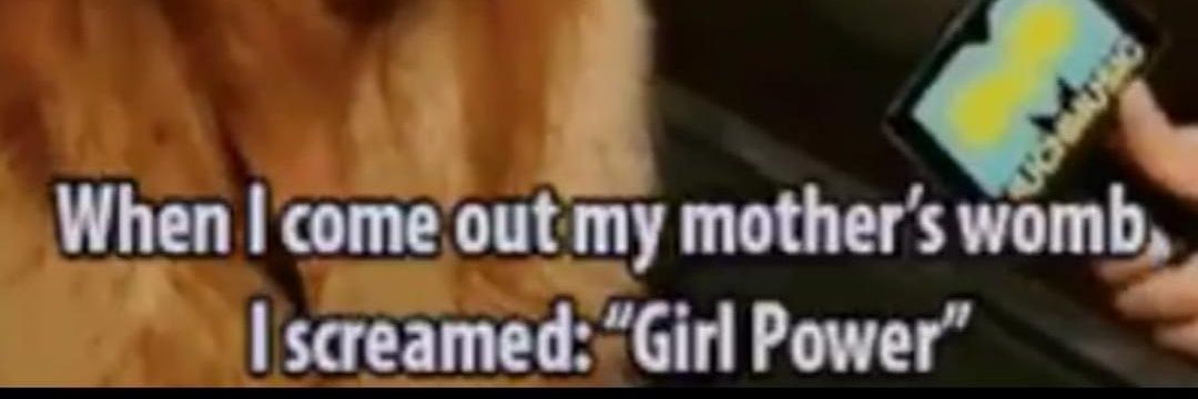 amygladders's profile banner image