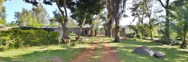 widioremo Profile Banner