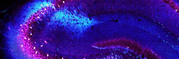 tristanstoeber Profile Banner