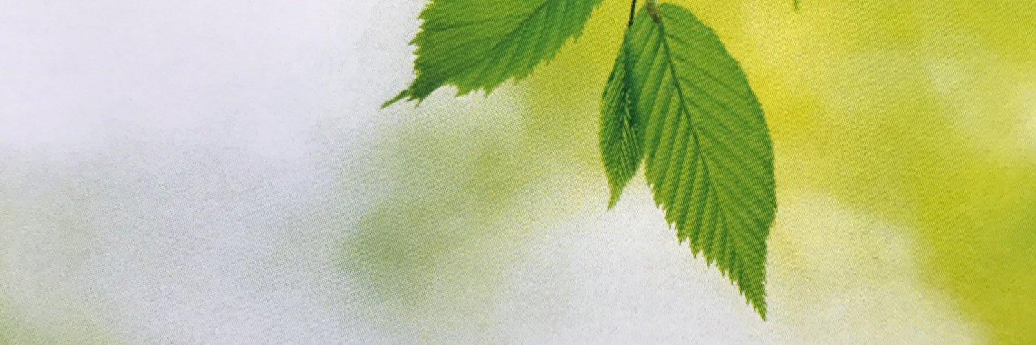 Murdoch Psychology Clinic banner